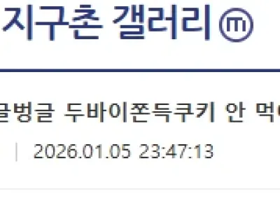 두바이쫀득쿠키 아직 안먹어 본 사람?jpg