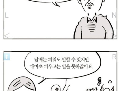 이말년이 생각하는 합법과 불법.manhwa