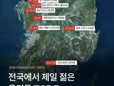전국에서 제일 젊은 읍면동 Top 7