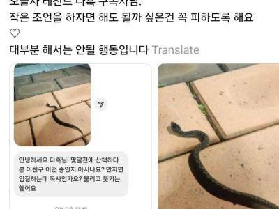 오늘자 파충류 유튜버 구독자 레전드