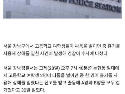 요즘 여고생들 싸움 근황