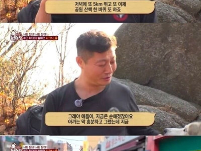 학대 논란이 있는 허스키 견주
