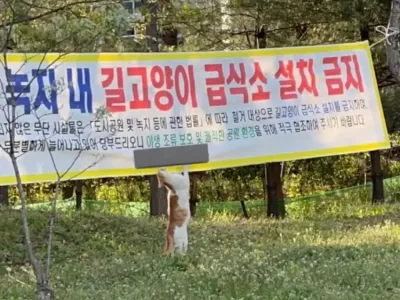 플랜카드 보고 열받은 고영이.jpg