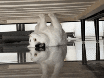 나를 이해라려고 하지마라 휴먼 gif