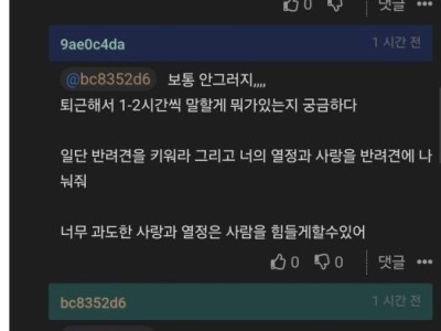 요즘 고부갈등