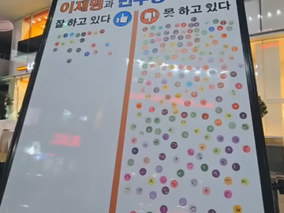 여론조사의 현실