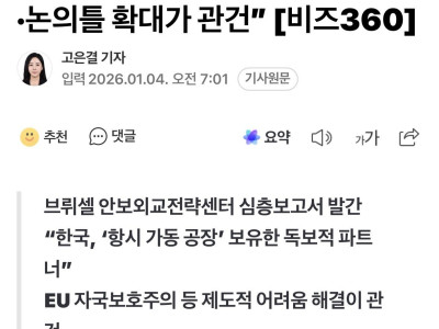 외국에서 정의한 K-방산