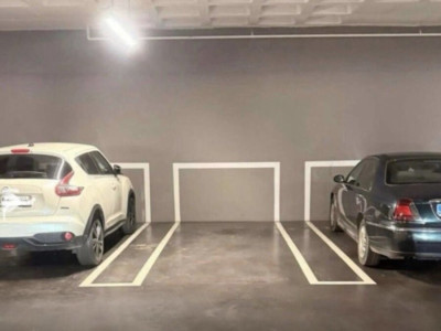 국내 도입이 절실한 외국의 주차선