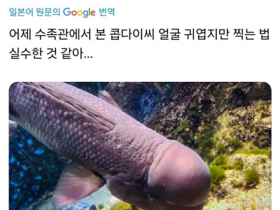 (주의)    딜돔