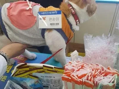 편의점에서 편순이 배 만졌다.jpg