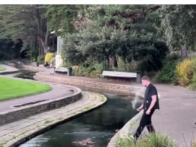 여자들은 이해하기 어려운 남자들의 본능