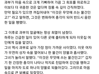 빠꾸따윈 없었던 조선시대 야설.TXT