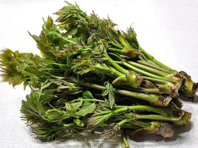 업로더, 2차창작, 그리고 저작권으로 보는 일본 만화 해적질과 마이클잭슨