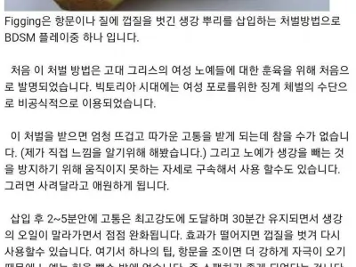 고대 그리스의 여노예 훈육법
