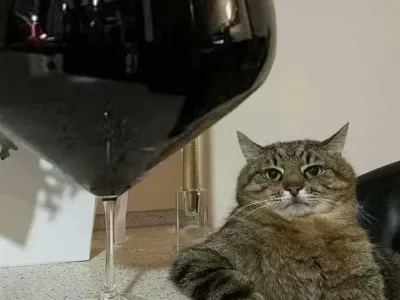 "개붕아 잠깐 이리 와봐라"