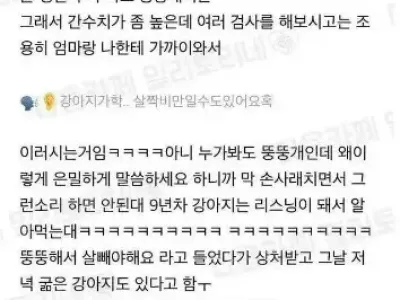 수의사가 귓속말하는 이유