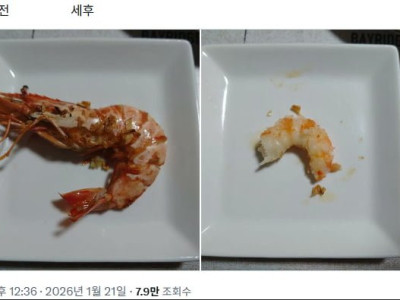 공감가는 세전 , 세후