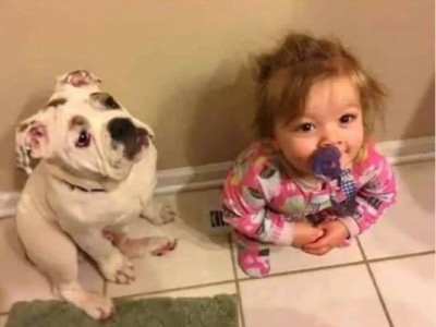 누가 뜨신 바람 나오는데 앉을지 매일 싸우는 애들