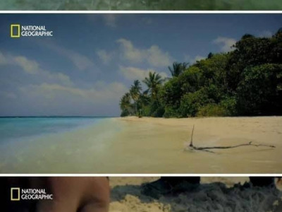 똥으로 땅을 만드는 기적