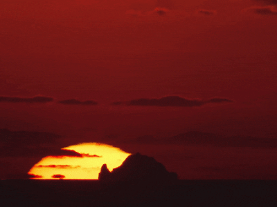 새해 복 많이 받으세요