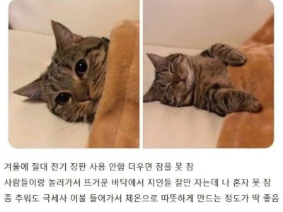 평상시 몸에 열이 많은 사람들 특징.jpg