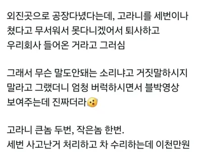 고라니때문에 회사 이직한 사람