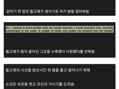 돌고래한테 ㅇㄷ 떼인 소년 ㄷㄷ
