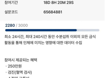 10일 240만원 주는 알바