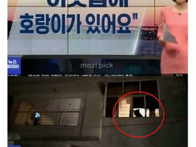 그림자 보고 집에 호랑이 있다고 신고