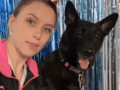 왜 자꾸 따라하는건데 gif