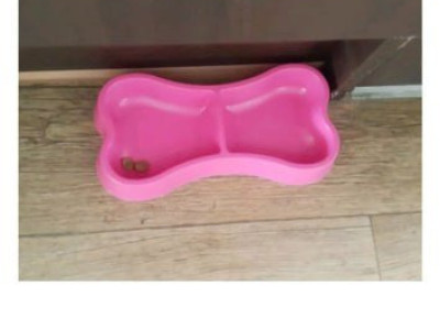 우리집 강아지가 사료를 매번 남겨.