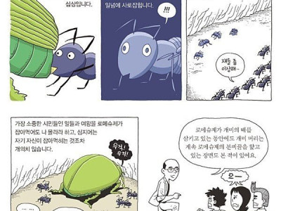 마약을 절대로 하면 안되는 이유 (개미).manhwa