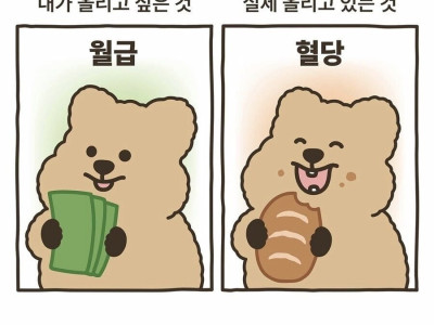 직장인들의 이상과 현실