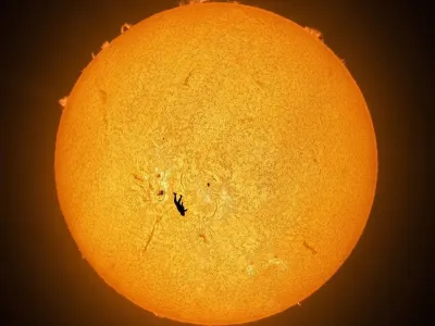 네이처 선정, 2025 올해의 과학 사진