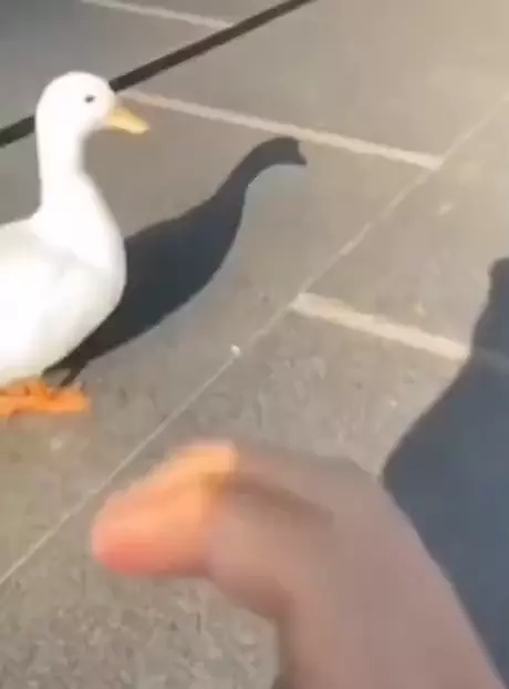 사랑했다 씨발련아!!!