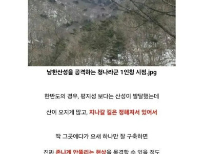한국 최후의 공성전