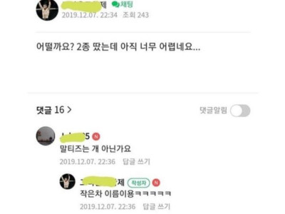 말티즈로 운전연습