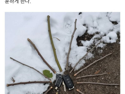 조깅 하다 차키 읽어 버린 사람