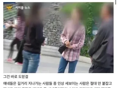호구 판별 전문가