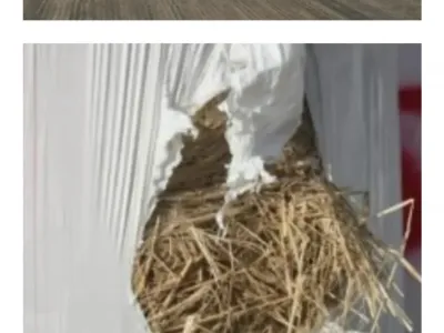 시골가면 맛볼 수 있다는 화이트 두쫀쿠