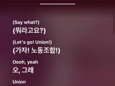 가사번역 참사.jpg