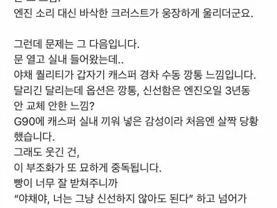G90 사서 신난 배민 리뷰어