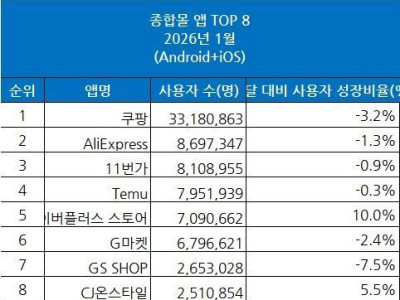 저번 달 국내 쇼핑몰 이용자 수