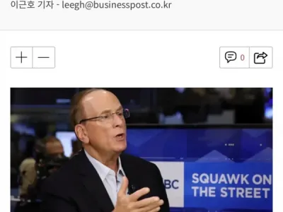 블랙록, "삼성전자 SK하닉은 안전자산"