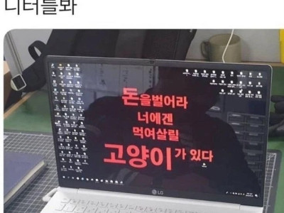 퇴사 하고 싶을때 모니터를 보는 직장인
