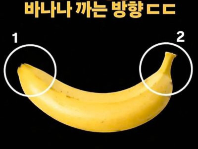 현재 논쟁중인 바나나 까는 방향