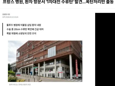 프랑스 병원, 환자 항문서 '1차대전 수류탄' 발견