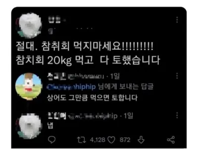 참치회를 먹으면 안되는 이유