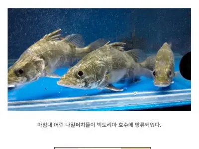 아프리카 호수가 말라버린 이유