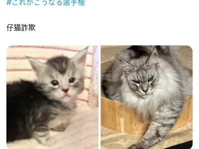 어릴 때랑 너무 달라진 녀석